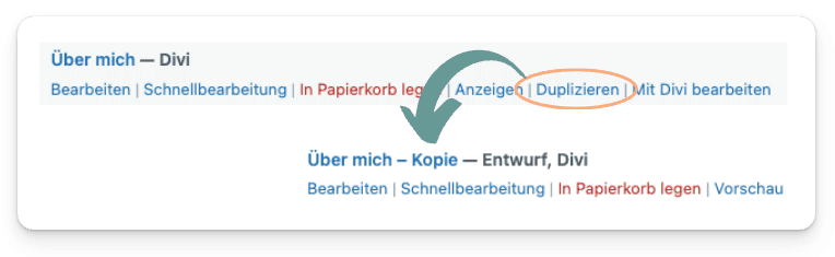 Screenshot wie simpel das WordPress-Plugin Duplicate Posts die Kopie einer Seite erstellt.